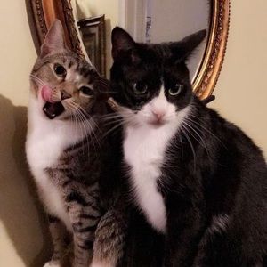 Meet your Posher, Kathryn